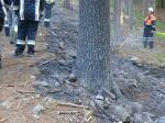 Waldbrand Hohenbogen - Ausbreitung ueber eine grosse Flaeche